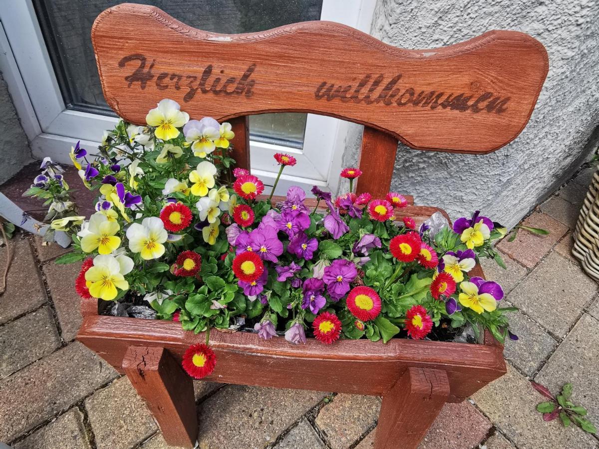 Pension Ginko Wernigerode Exteriör bild