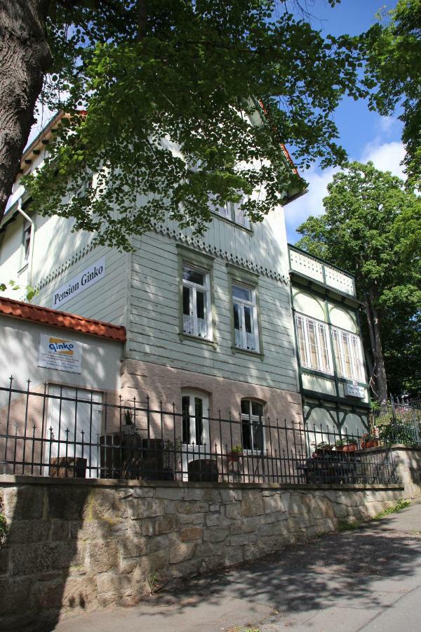 Pension Ginko Wernigerode Exteriör bild