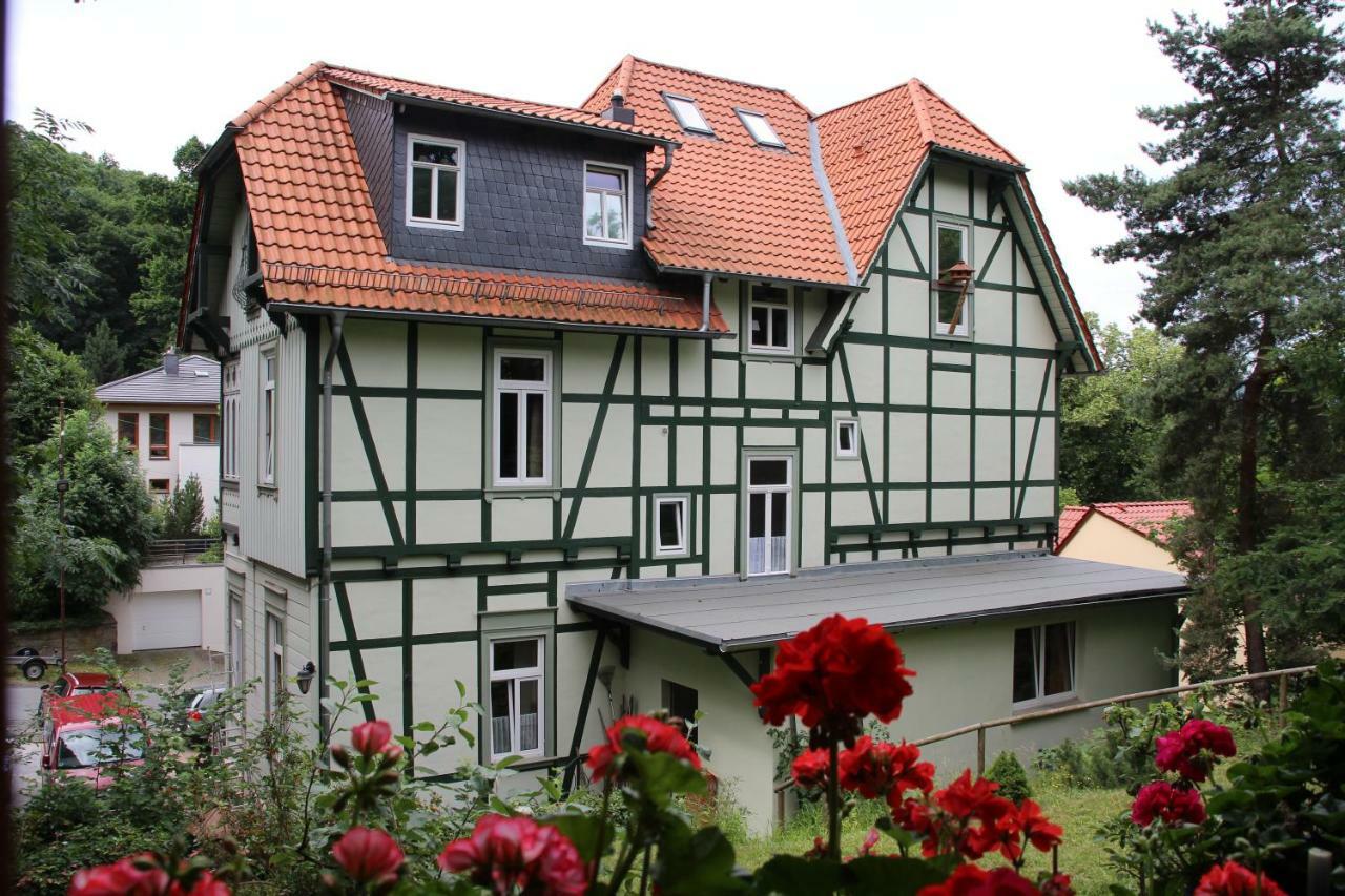 Pension Ginko Wernigerode Exteriör bild